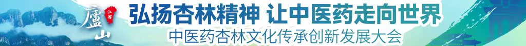 17ccon中医药杏林文化传承创新发展大会